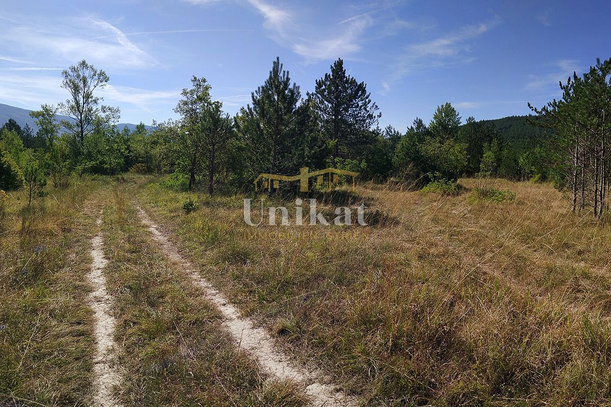 Ampio terreno ad uso ricettivo-turistico